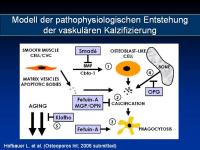 Abbildung 16: Osteoporose - Arteriosklerose