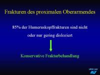 Abbildung 7: Frakturen