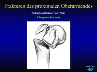 Abbildung 11: Frakturen