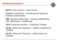 Abbildung 20: Knochenbiopsie