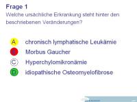 Abbildung 10: Fallbericht