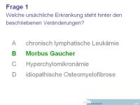 Abbildung 11: Fallbericht
