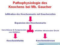 Abbildung 20: Fallbericht