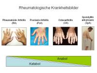 Abbildung 2: Vortrag der Preistr�gerin