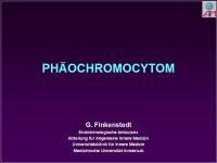 Abbildung 1: Ph�ochromocytom