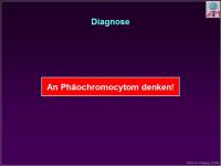 Abbildung 8: Ph�ochromocytom