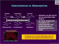 Abbildung 10: Ph�ochromocytom