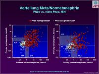 Abbildung 12: Ph�ochromocytom