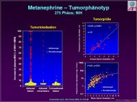 Abbildung 17: Ph�ochromocytom