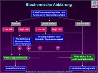 Abbildung 21: Ph�ochromocytom
