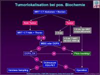 Abbildung 25: Ph�ochromocytom