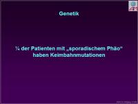 Abbildung 26: Ph�ochromocytom