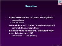 Abbildung 38: Ph�ochromocytom