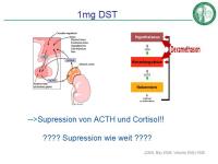 Abbildung 18: Cushing-Syndrom