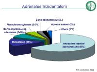 Abbildung 28: Cushing-Syndrom