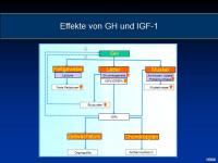 Abbildung 12: Akromegalie