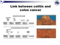 Abbildung 3: Colonocytes