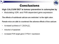 Abbildung 8: Colonocytes