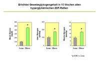 Abbildung 6: ZDF-Ratten