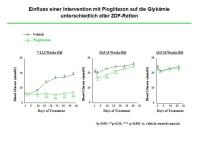 Abbildung 9: ZDF-Ratten