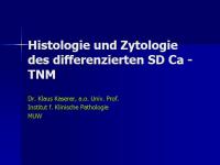Abbildung 1: SD Ca TNM