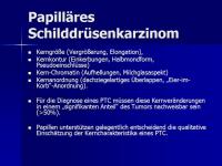 Abbildung 4: SD Ca TNM