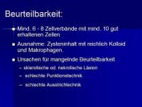 Abbildung 15: SD Ca TNM