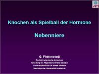 Abbildung 1: Nebenniere