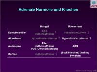 Abbildung 2: Nebenniere