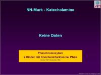 Abbildung 3: Nebenniere