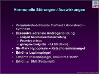 Abbildung 7: Nebenniere