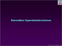 Abbildung 10: Nebenniere