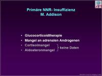 Abbildung 12: Nebenniere