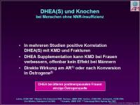 Abbildung 14: Nebenniere