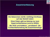 Abbildung 22: Nebenniere