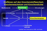 Abbildung 2: Schilddr�se
